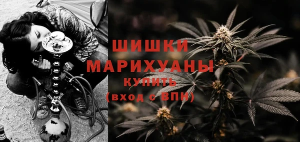 ECSTASY Белокуриха