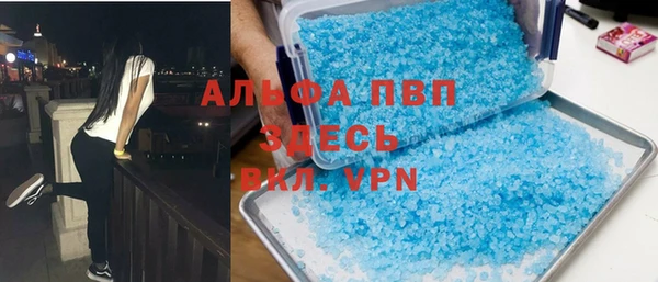 ECSTASY Белокуриха