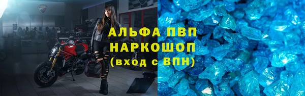 ECSTASY Белокуриха