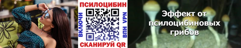 Галлюциногенные грибы ЛСД  Богородск 