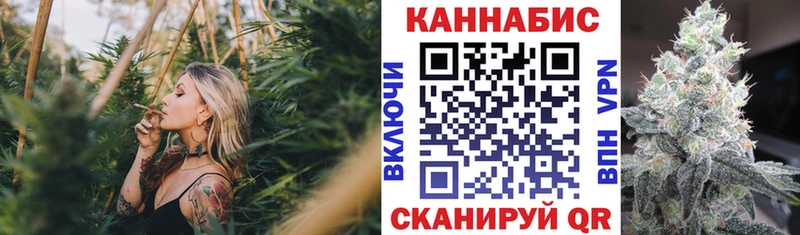 Бошки марихуана планчик купить Богородск
